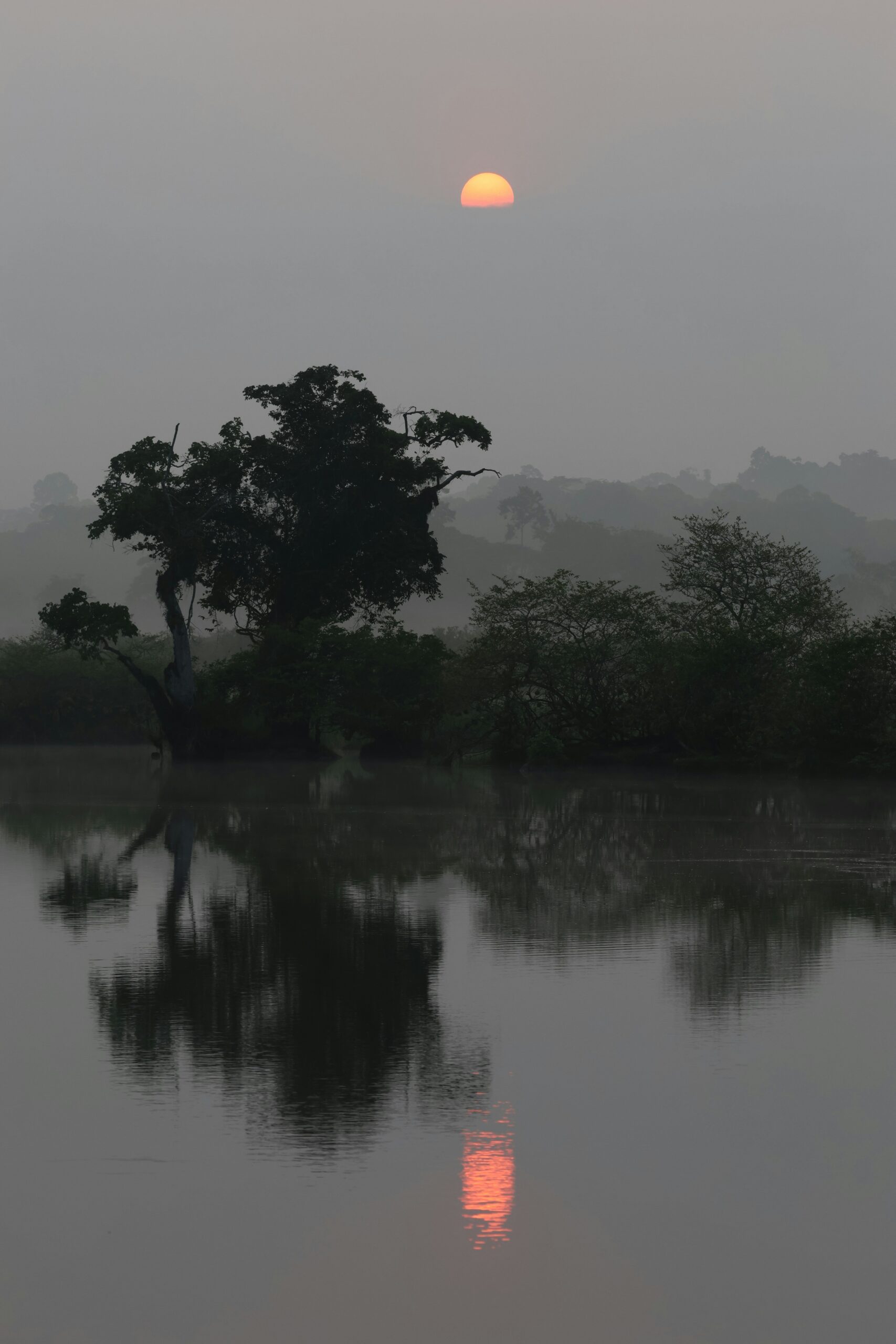 Hello World Featured Image