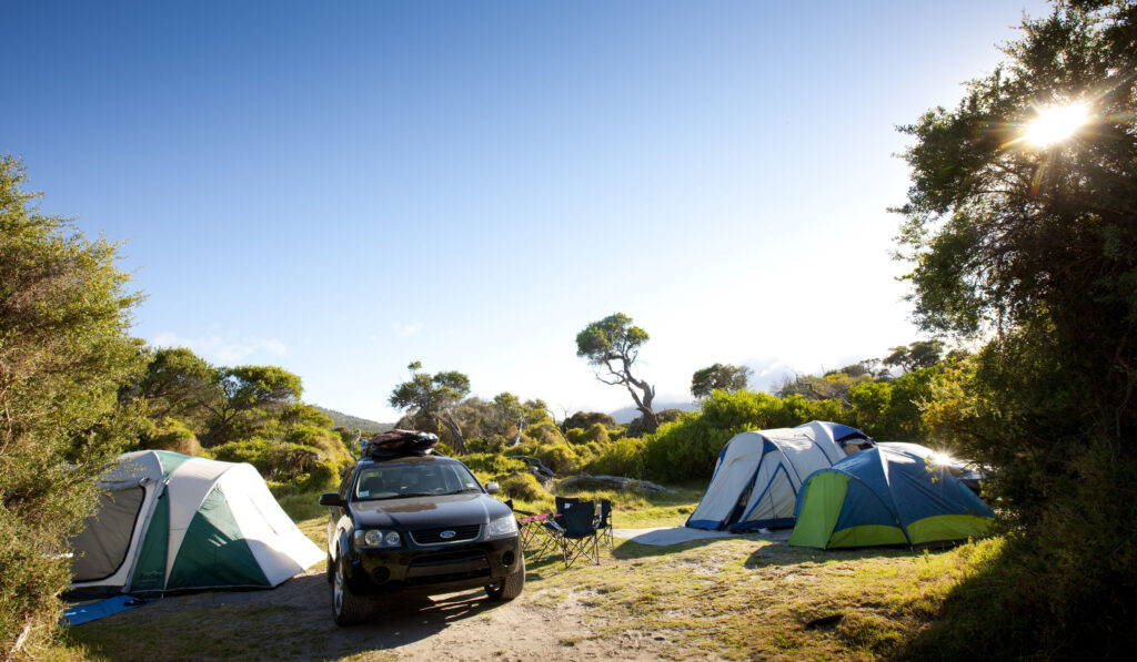 Panduan Lengkap Camp Wilson