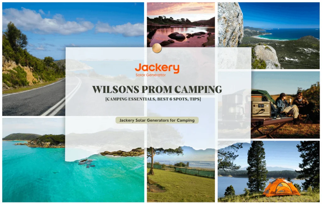 Panduan Lengkap Camp Wilson
