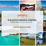 Panduan Lengkap Camp Wilson