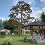 Camp Wilson Foursquare